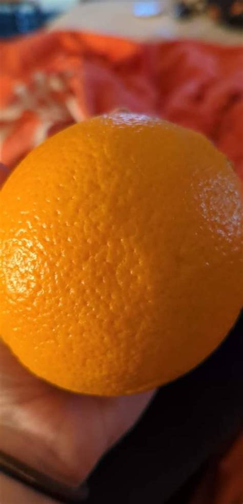 screamforicecream onlyfans