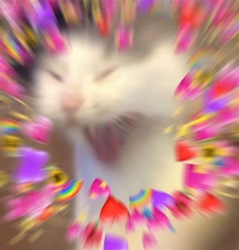 Love Screaming Crying Cat Meme Hearts menestreistear