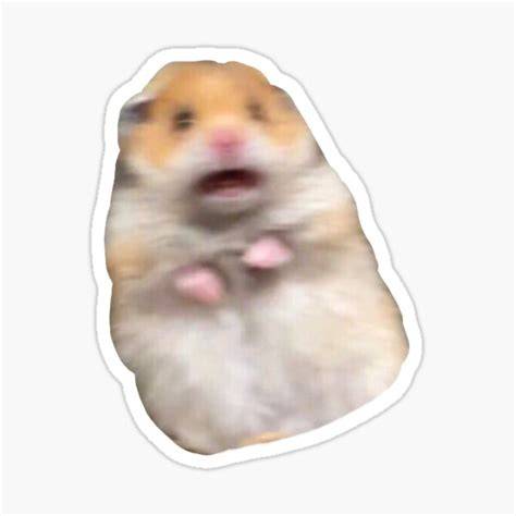 Screaming Mouse Meme Trap Remix YouTube