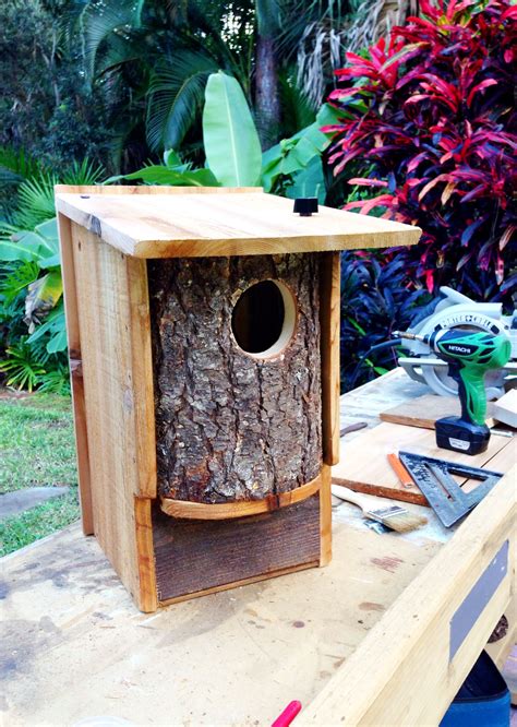 screech owl nesting box