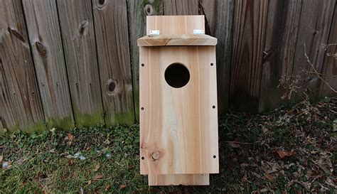 screech owl nesting box kit