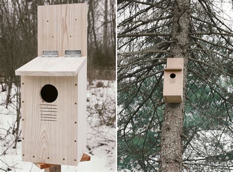 screech owl nesting box mounting height