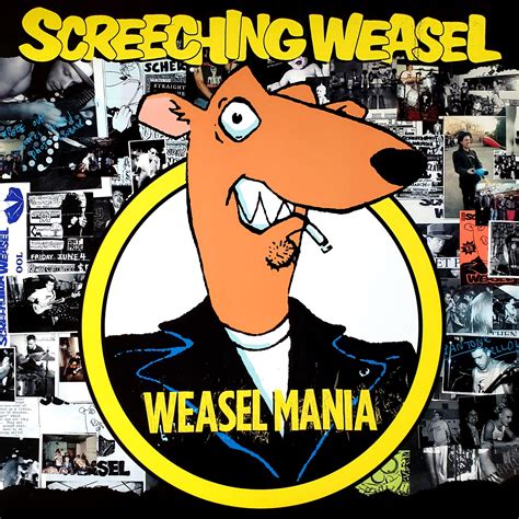 screeching weasel