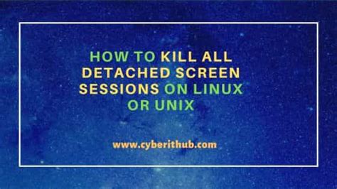 Screen Linux Kill All