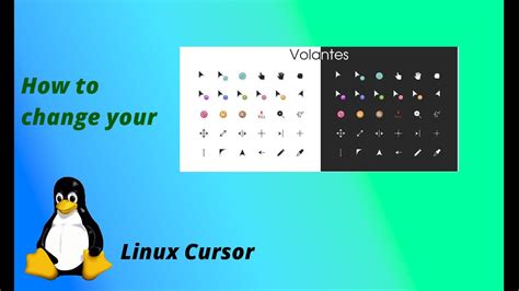 Screen Linux Move Cursor