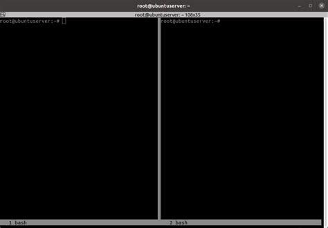 Screen Linux Split Vertical
