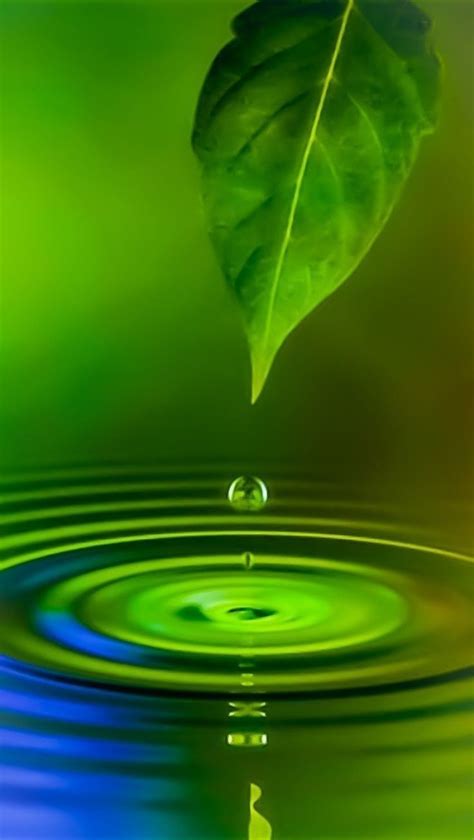 Screen Savers Wallpapers Backgrounds Android