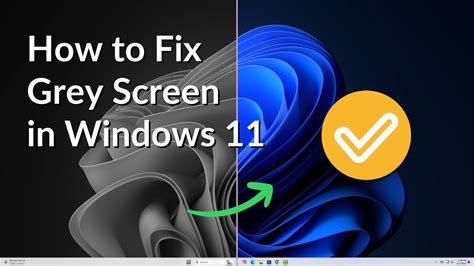 Screen Turns Gray Computer Freezes