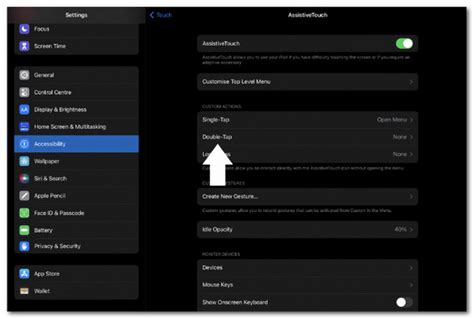 Screenshot Ipad Double Tap