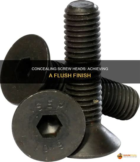 Screw Head Flush