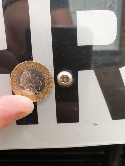 Screwdriver License Plate