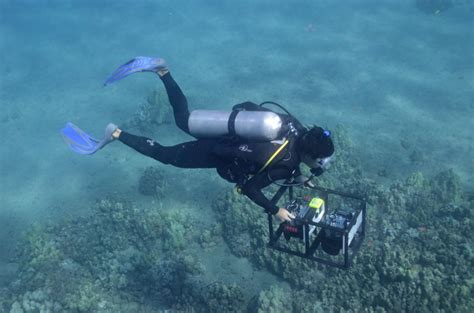 Scripps Reef: Secrets of Underwater Wonder Revealed