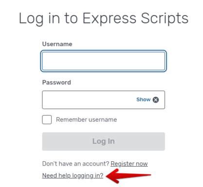 script express log in