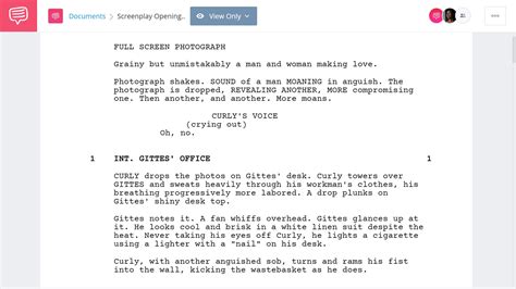 script intro example