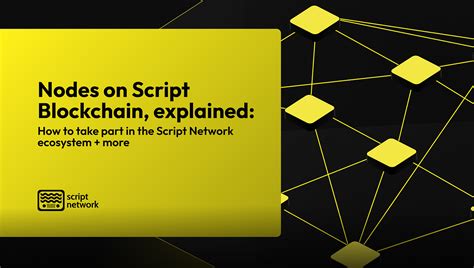 Script Network Platform