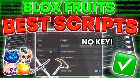 script roblox blox fruit