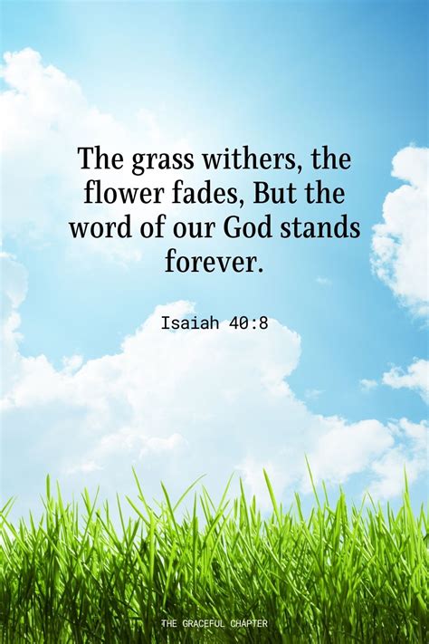 Scripture About Flowers Fading