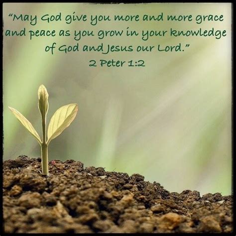 scripture about growing in god's word