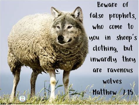 scripture beware of wolves in sheep clothing