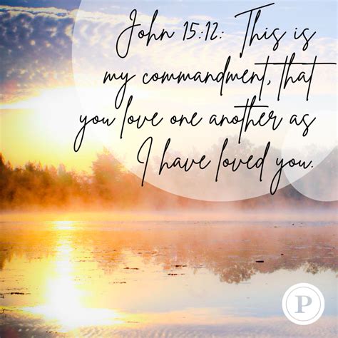 scripture for supporting one another