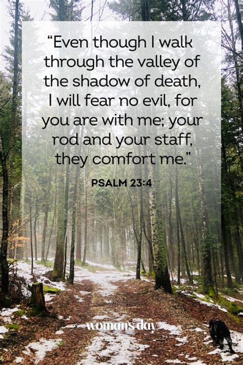 scripture to cope with death