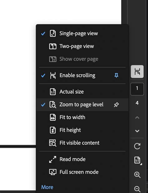 Scroll Bar Missing In Pdf