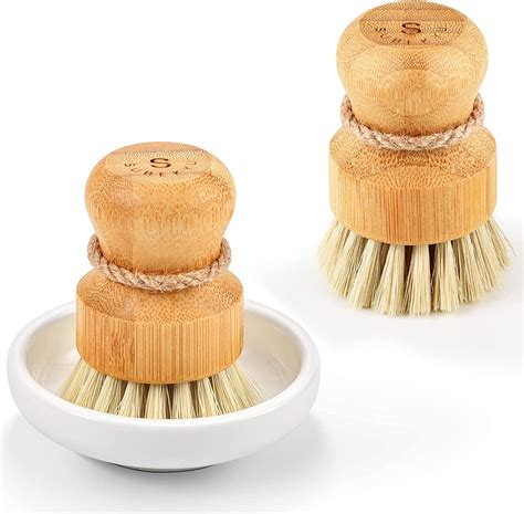 Scrub Brush Dishes