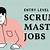 scrum master jobs remote entry level