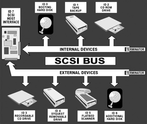 Scsi Controller Id