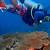 scuba diving cartagena