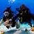 scuba diving in cancun for beginners