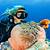 scuba diving sanibel island