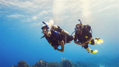 scuba diver course