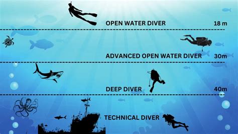 Scuba Diver Depth
