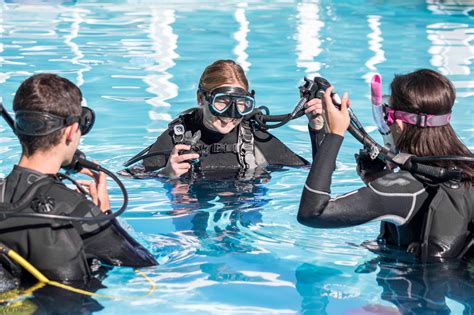 Scuba Diving Certification Tampa Fl