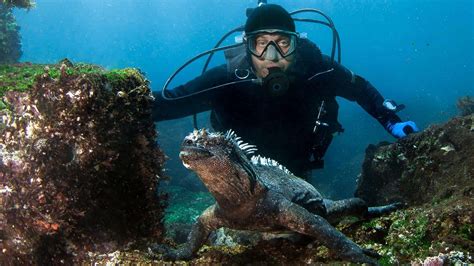 Scuba Diving Galapagos Prices