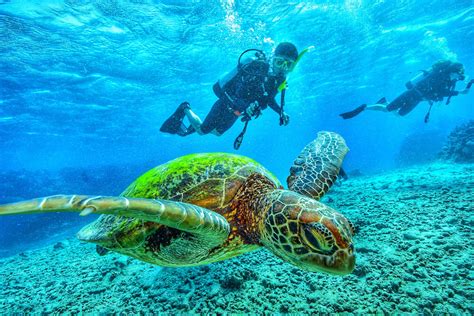 scuba diving in galapagos