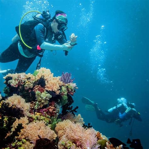 scuba diving spots in the philippines