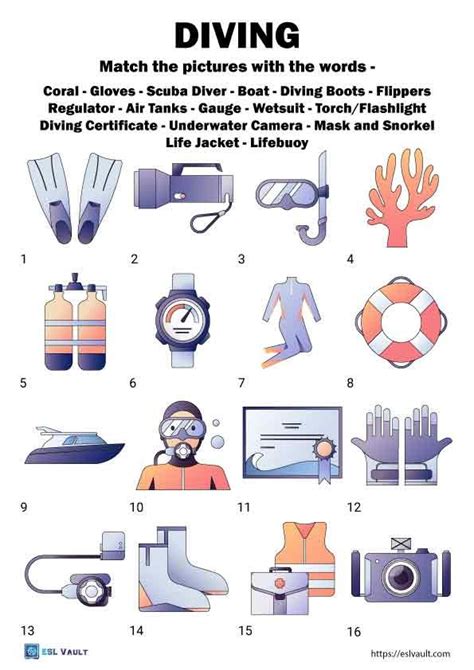 Scuba Diving Terms And Phrases