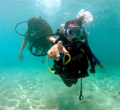 scuba options for beginners