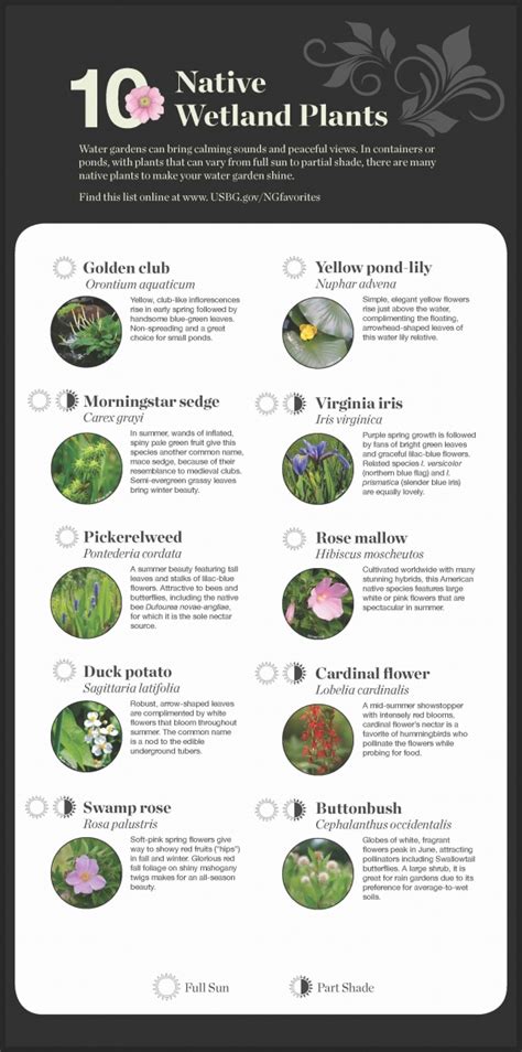 scwf native plant list