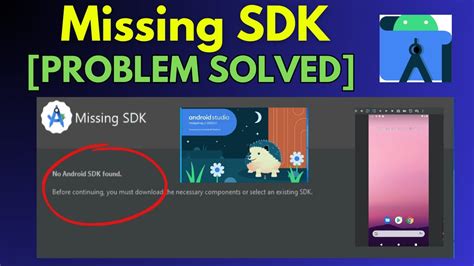 sdk error meaning