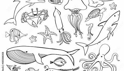 Hand-drawn "Sea life" clipart,SVG Sea animals clipart,PNG Ocean life