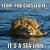 sea lion puns