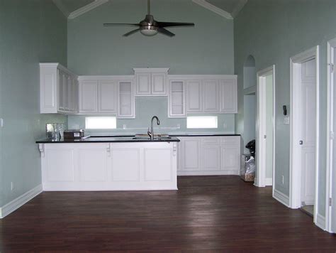 walls sherwin williams sea salt sw 6204 Home remodeling, House