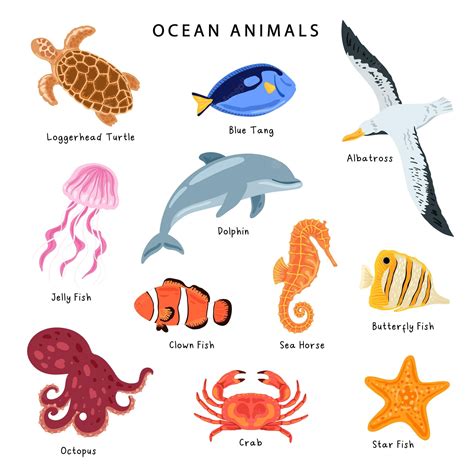 sea animals images for kids