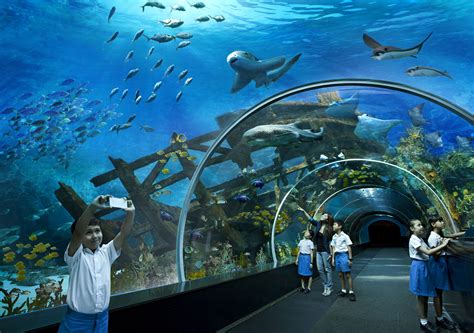 sea aquarium singapore tickets