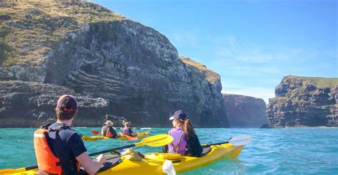 sea kayaking experience