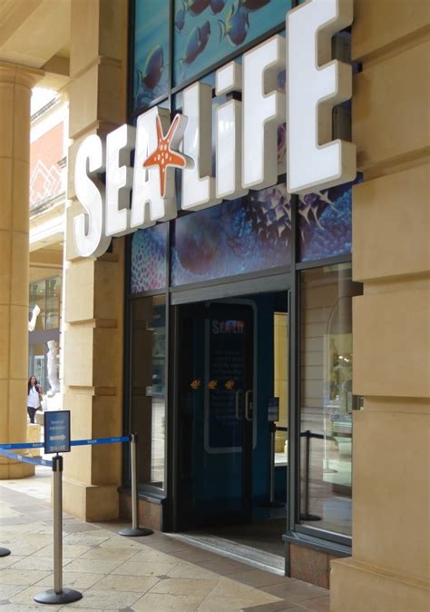 sea life manchester discount
