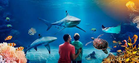 sea life manchester promotional code